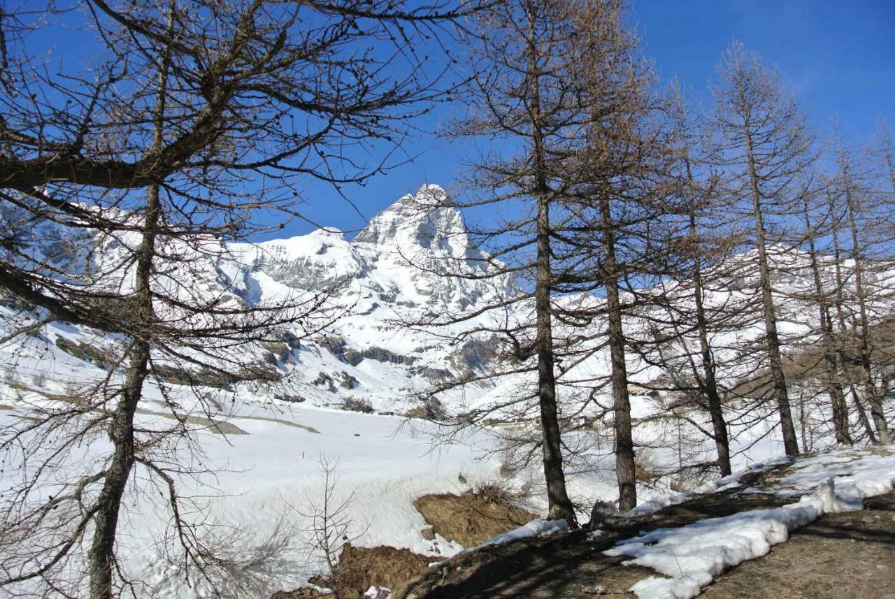 Complesso I Dadi - Residence Cielo Alto - Alberto 21 Breuil-Cervinia Zewnętrze zdjęcie